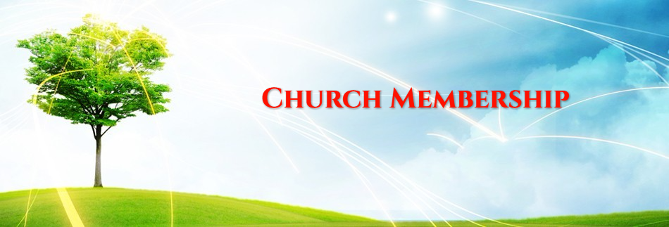 Tree of Life Website Banner